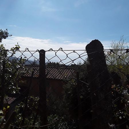 Villetta A Schiera Nei Pressi Del Mare Livorno Esterno foto