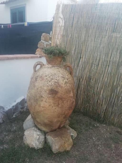 Villetta A Schiera Nei Pressi Del Mare Livorno Esterno foto